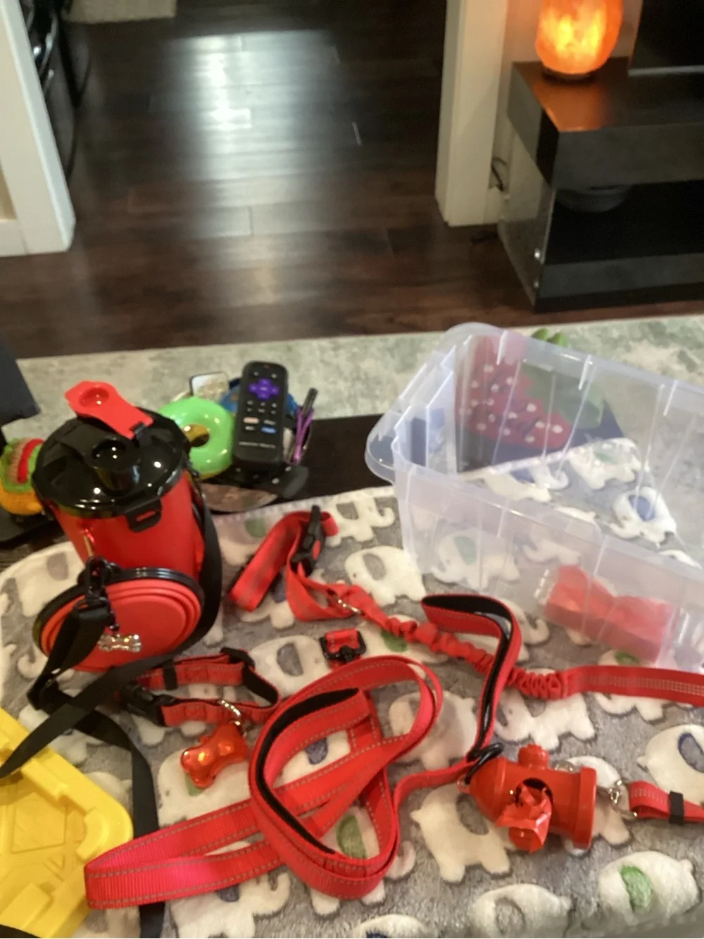 NWOT - Red Dog Leash and Accessory Set - Puppy Kit - BRAND NEW!!!!!!!!!